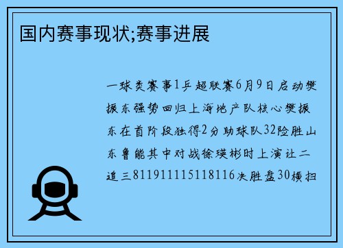 国内赛事现状;赛事进展